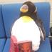 Pobalscoil Neasáin (@psneasain) Twitter profile photo Pobalscoil Neasáin (@psneasain) Twitter profile photo