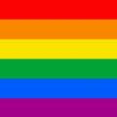 Pedagogia i lluita per la Igualtat, els drets civils i la defensa dels drets de Gays, Lesbianes, Bisexuals i Transsexuals en la societat lleidatana.