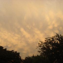 artman57's profile picture. artist, independent thinker,vietnam vetran ,open minded, RETIRED, VERIFIED ACCOUNT