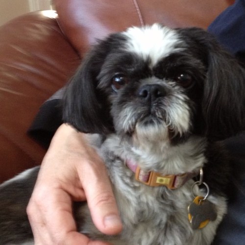 BA29's profile picture. 