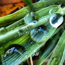 Coy Marvin - @CoyMarvin842 - Twitter