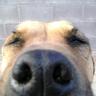jczar09's profile picture. TENGO PATRIA, ANTES QUE PARTIDO... Chairos absténganse, no valen ni el tiempo que invierta en contestarles...