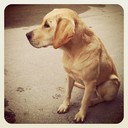 Foster Jamal - @FosterJamal772 - Twitter