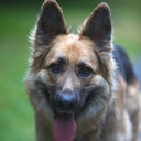 Tawanna Hunter - @HunterTawanna - Twitter