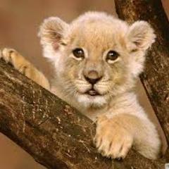 Congi1's profile picture. 