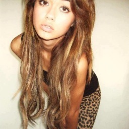 Followback 100%
