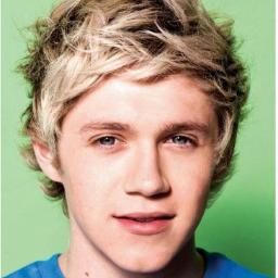 Todos son hermosos en 1D pero Niall James es un joven Irlandes que roba el corazon con su hermosa sonrisa,pd:tener un favorito no te hace directionator
