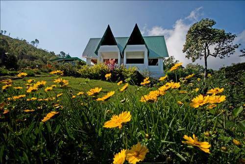 Camelot is an idyllic, pleasing and picturesque spot of natural simplicity and happiness.  #resort #munnar