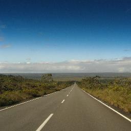 carolacap's profile picture. 