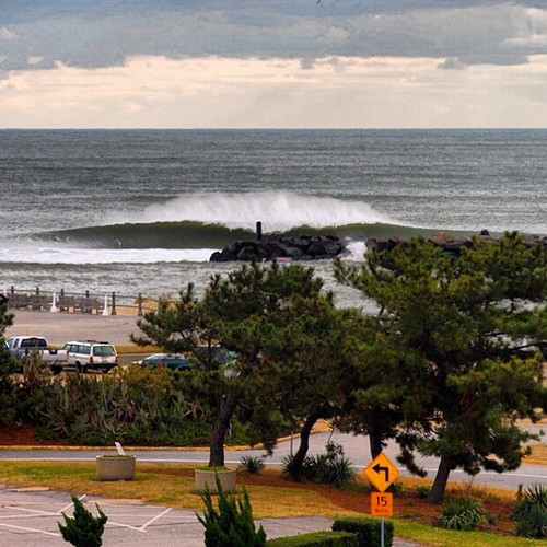 b_grigz's profile picture. I Love Lamp! I Love Lamp!