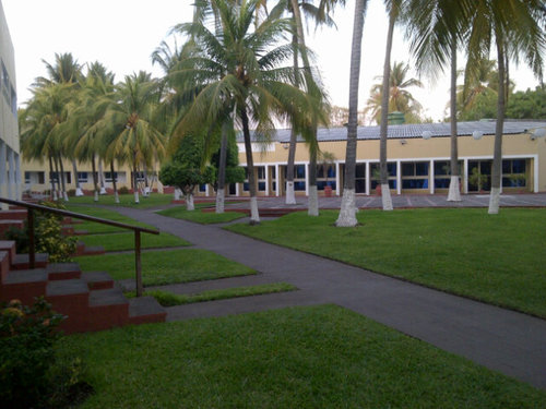 NewOBlock's profile picture. 