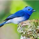 Daniela Ford - @ford_daniela - Twitter