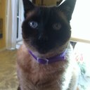 Sally Dick - @Salhoo - Twitter