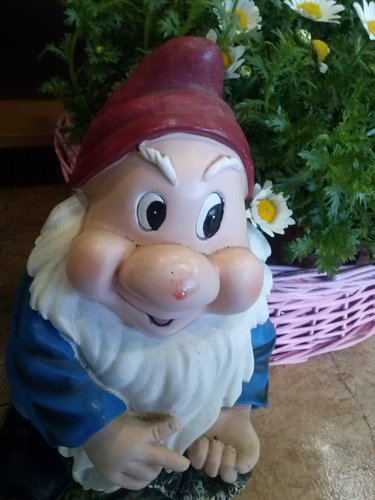 florscristina's profile picture. regala una sonrisa, regala  una flor