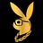 imltcollection's profile image