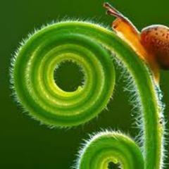 Veyselonline's profile picture. pide delisi insan sever baseball aşığı