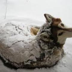 Terbiyesizimki's profile picture. tebiyezsiszin sen terbiyesiz