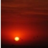 Africa (@africa) 's Twitter Profile