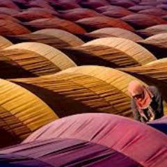 ekerdikerbicer's profile picture. 