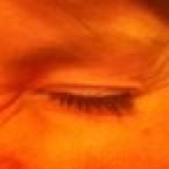 torilavlog's profile picture. '