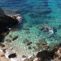 TravelEasyParis's profile picture. Travel agent specialized in low cost travels for young people who want to have fun with their friends and discover new countries and cultures