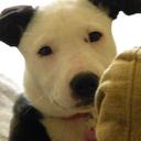 emma boyce - @emmaboyce8 - Twitter