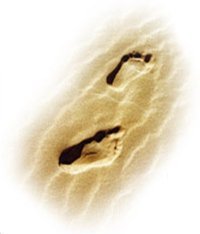 Sands of Time is an out of classroom experience for FDU students who want to see, do, experience, and learn more!
http://t.co/QBrQQOTLO1
