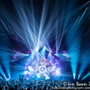 Carter Wall - @ch_wall - Twitter