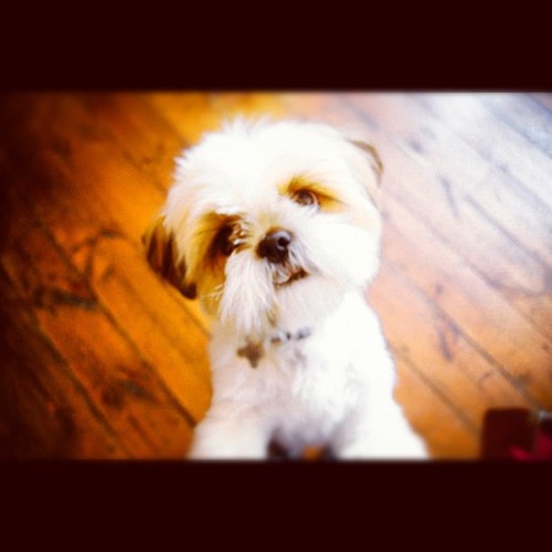 Ena_Blankinship's profile picture. Had a dream about my ex last night. It made me miss him.. But then reality checked in LOL