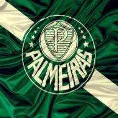 sambra51's profile picture. Palmeirense, pai, filho, irmão, cunhado, neto, sobrinho, primo e tio de palmeirenses. Porco até no horóscopo chinês (mesmo!).