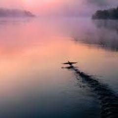 KaderinCilvesim's profile picture. 