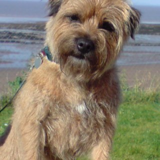 antheajlowe's profile picture. 