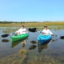 Helen Ham - @HelenHam3 - Twitter