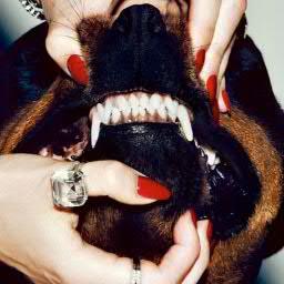 komillfo's profile picture. 