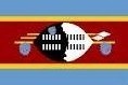 Young. Enthusiastic. Passionate. Driven. Focused. Dedicated. Eager. Hopeful. Change Agents. Swazi and Proud. Rebels WITH a cause. Turning the tide on bullying.