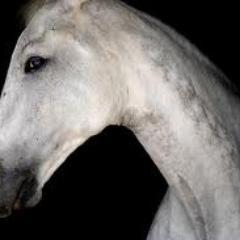 Benkariistirem's profile picture. 