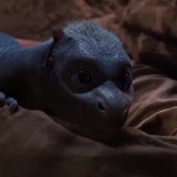 dragonwarch's profile picture. 