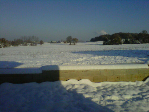 mousse28324335's profile picture. 