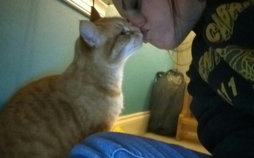 ansleyivy97's profile picture. I don't always fits, but when i do, i sits.