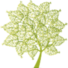 cabulgaria's profile picture. Communication Academy е обучителна организация, посветена на разпространениeто на нови методи за общуване, преподаване и свързване между хората.