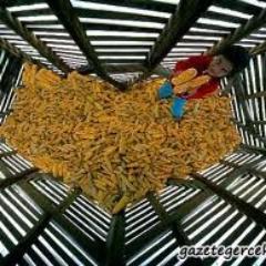 oktikya's profile picture. 