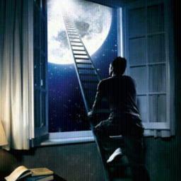 ‏‏‏‏‏‏‏‏مصمم جرافيكس .. مبرمج .. مهندس شبكات وحاسوب Graphic Designer ‎#شعارات ‎#هويات تجارية ‎#انفوجرافيك ‎#موشن جرافيك