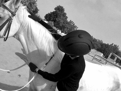 M80001015Girl's profile picture. Horserider- in love with horses
in AlAsfa endurance-AlQudra
PORSCHE is the best
ZU student-major: Human Resource Management
