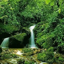 italian17555's profile picture. 흘러가고 싶은 물