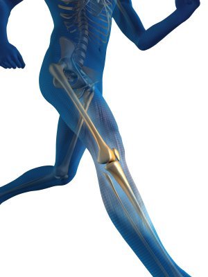 Physiotherapist and Sports therapy lecturer,Boston UTD FC,Basingstoke Bison,Slough Jets,Farnham Knights. http://t.co/hFyAX4hnIf