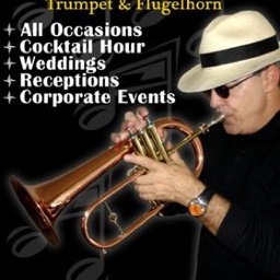 jazz Musician , trumpet , piano  and guitar