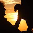 Angelo Calabrese - @AsCalabrese - Twitter