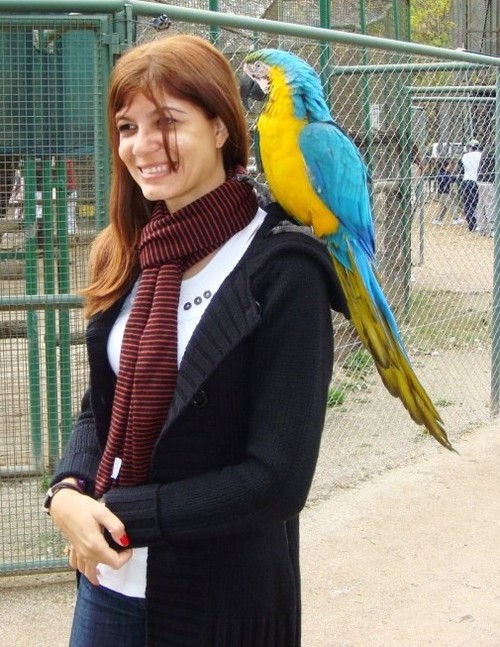 I love nature