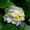 حسن الحمزي (@0509756545) Twitter