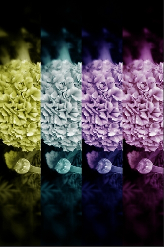 Microbiology89's profile picture. Microbiologest2012, My BD on 10th of April